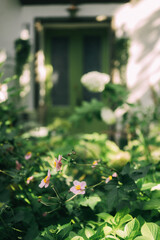 Elegant Floral Shopfront with Lush Greenery and Blooming Flowers