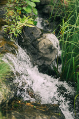 Serene Fountain in a Lush Garden