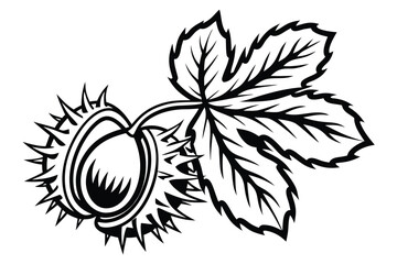 Fototapeta premium of Chestnut Seed and Leaf in Detailed Line Art on a White Background