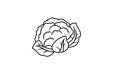 Outline Cauliflower Head Vector, Healthy Vegetable Isolated on White Background