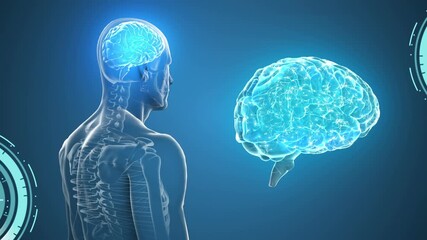 Animation of human body model with brain on dark background - Powered by Adobe