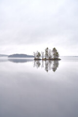 lake in the morning