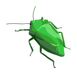 Realistic Vector Illustration of a Green Stink Bug with Shield-Shaped Body, Long Antennae, and Detailed Legs for Biological and Educational Use  
盾形の体と長い触角を持つ緑色のカメムシを精密に描いたベクターイラスト