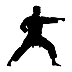 Silhouette of a karate martial artist in a fighting stance