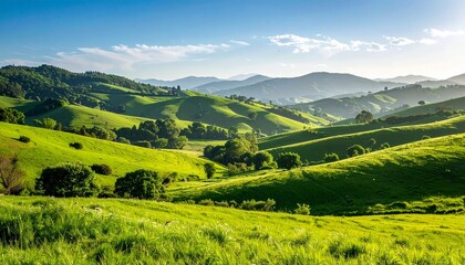 Obraz premium landscape with green hills