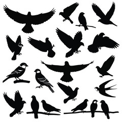 Obraz premium Diverse Bird Silhouettes A Collection of Winged Wildlife