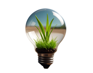  Broken Soil with Green Grass Sprout Growing Inside Lightbulb, Eco Concept Isolated