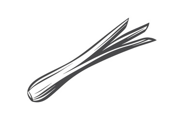 Single gray leek vegetable drawing, simple monochrome design on white background