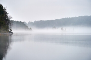 misty morning mist over the river