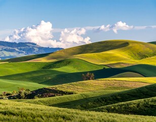 Rolling hills bathed in sunlight, vibrant greens and yellows