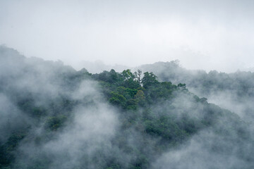 In the morning, the mountain landscape is veiled in a misty fog, with clouds drifting across the sky, while a solitary tree stands tall, embracing nature's serene beauty.