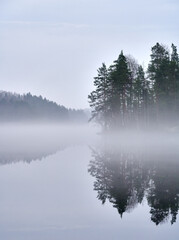 fog on the lake