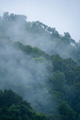 Fototapeta premium In the morning, the mountain landscape is veiled in a misty fog, with clouds drifting across the sky, while a solitary tree stands tall, embracing nature's serene beauty.