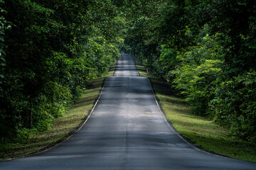 Obraz premium A winding highway of asphalt cuts through the mountain landscape, where nature thrives, trees guard the road, forests embrace the horizon, and travel feels alive.