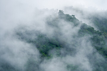 In the morning, the mountain landscape is veiled in a misty fog, with clouds drifting across the sky, while a solitary tree stands tall, embracing nature's serene beauty.