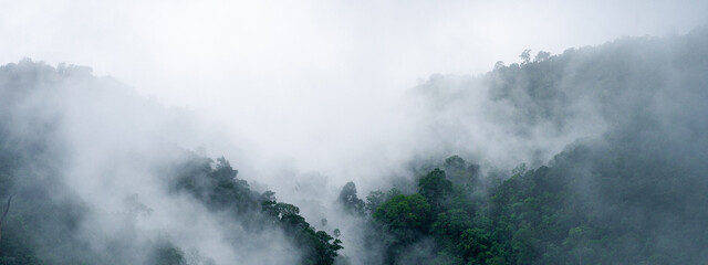 banner background of the mountain landscape is veiled in a misty fog, with clouds drifting across the sky, while a solitary tree stands tall, embracing nature's serene beauty.