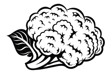 Stylized Cauliflower with Leaf, Artistic Monochrome Vegetable