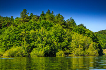 Fototapeta premium Landscape of Lake La Ravière in the early morning in the South of France. Calm water surrounded by forest in Occitanie.