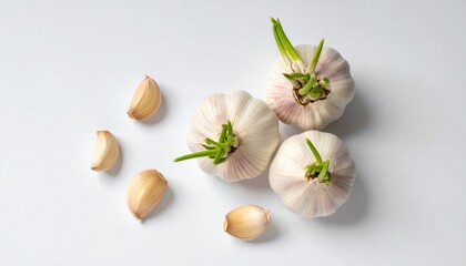 Overhead view of fresh garlic bulbs with green sprouts and separated cloves against a clean white surface.