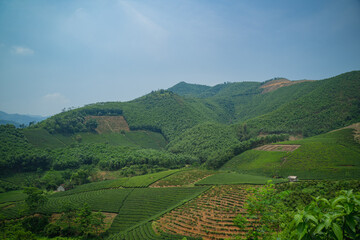 Fototapeta premium The road winds through the mountain, revealing a scenic landscape where nature meets the sky, turning every mile of the journey into a breathtaking experience.