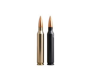 Two Rifle Cartridges Brass and Black Ammunition