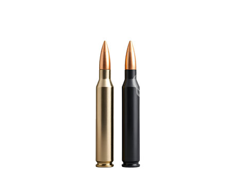 Two Rifle Cartridges Brass and Black Ammunition