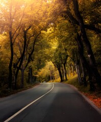 Obraz premium Scenic autumn drive through golden canopy road lush forest nature photography tranquil environment serene viewpoint