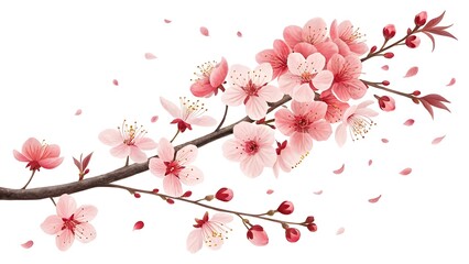 Fototapeta premium a delicate branch adorned with vibrant pink cherry blossoms