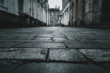 Obraz premium Wet cobblestone path in an urban setting with historic architecture