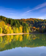 Captivating autumn reflection serene lake nature photography tranquil landscape aerial view seasonal beauty