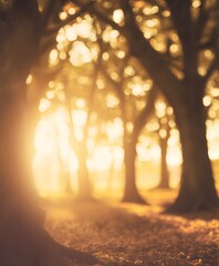 Golden sunrise illuminates a tranquil forest scene nature photography autumn warm lighting serene atmosphere