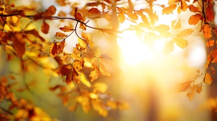 Autumn leaves falling forest nature photography warm glow close-up seasonal beauty