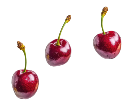 Three Red Cherries with Water Droplets on Transparent Background