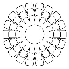 hand drawn vector illustration of a flower