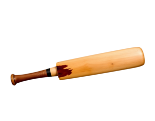 Cricket Bat Isolated on Transparent Background