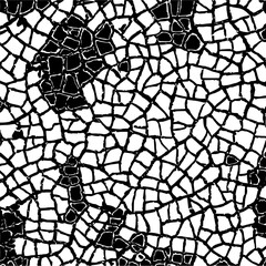 Obraz premium Abstract black and white cracked pattern resembling dry earth or shattered glass with irregular shapes