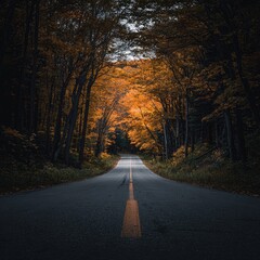 Fall foliage-lined road disappearing into vibrant autumn colors