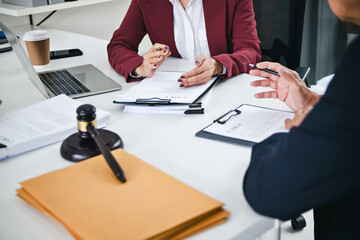 Lawyer discussing cases in professional law firm office environment