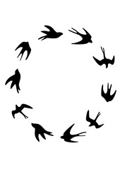 Obraz premium DIZZY BIRD LOGO BLACK