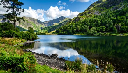 Fototapeta premium A serene mountain lake reflects the surrounding lush greenery and towering peaks on a bright, sunny day.