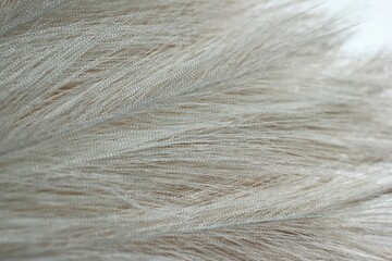 Elegant White Feather Surface. A Delicate Detail for Arts, Crafts, and Design Projects.