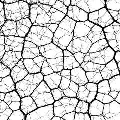 Complex network of black lines resembling cracked earth or dried mud on a white background surface texture