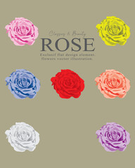 set flat vector illustration of blooming rose petal design element.