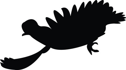 Flying Andean cock-of-the-rock bird Silhouette Design And Vector Illustration. 
