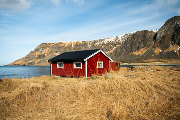 Red Cabin Near Mountain and Lake