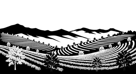 Fototapeta premium stunning black and white landscape serene terraced fields, majestic mountains