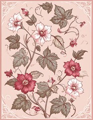 Floral Design/Illustration/Pink Background