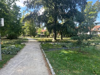 beautiful park view with a bench

