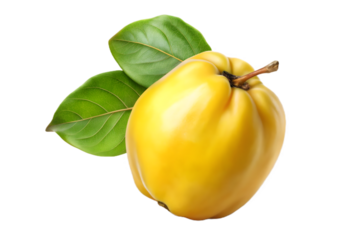 Fresh and ripe quince fruit with green leaves isolated on transparent background
