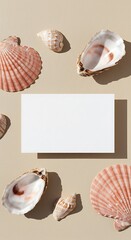 夏の日の光と貝殻 空白のカード